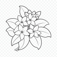 Floral Bunch with Stephanotis Beautiful Line Art Vector Design for Nature and Flower Lovers
