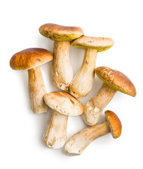 Fresh boletus mushrooms isolated on white background.