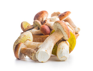Fresh boletus mushrooms isolated on white background.