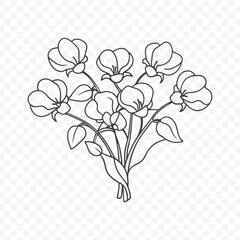 Floral Bunch Featuring Beautiful Sweet Pea Line Art Vector Design for Elegant Decorations