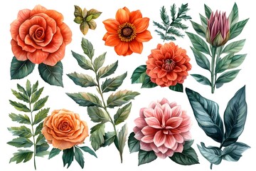 Watercolor Floral Elements  Orange Roses  Dahlias   Greenery Clip Art