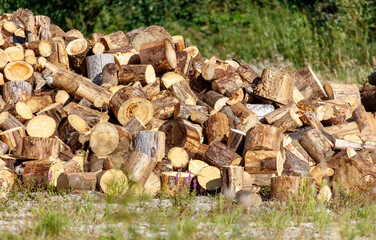 A pile of wood logs is stacked in a field