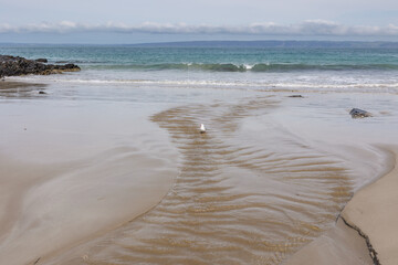 A rippling fresh water creek with a seagull in it, enters the aquamarine sea at Blowhole Beach with a low cloud bank and Kangaroo Island on the horizon on the Fleurieu Peninsula in South Australia.
