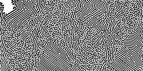Dynamic abstract black and white vector design featuring intricate linework for creative professionals and artists.
