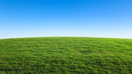 Naklejka premium Expansive green field of lush grass stretching to the horizon, creating a peaceful, natural landscape perfect for outdoor and nature scenes.