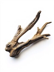 Fototapeta premium A singular piece of weathered wood displays intricate textures and natural forms, set against a crisp white backdrop for artistic inspiration.