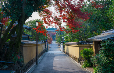 京都　ねねの道　秋