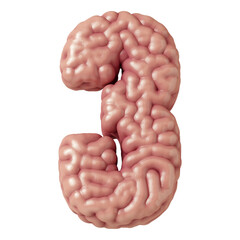 Number 3 made from brain