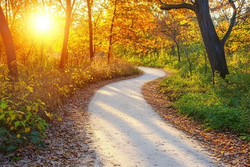 Fototapeta premium A scenic view of a hiking trail winding through a vibrant autumn forest. Golden hour light. Nature background.