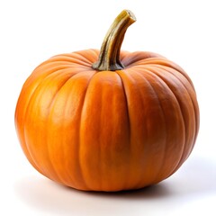 Obraz premium Pumpkin on white background
