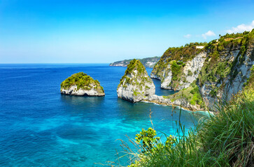 Fototapeta premium Cliffs at Diamand Beach, Island Nusa Penida, Indonesia, Southeast Asia.