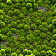 Seamless Colorful Rock Texture. Perfect for: Nature walks, Forest retreats, Botanical gardens