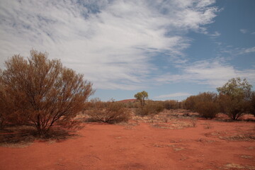 View of red desert sands in outback Central Australia