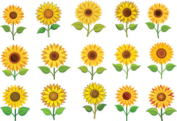 Bright Sunflower Vector Illustration design Bundle