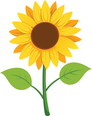 Bright Sunflower Vector Illustration design