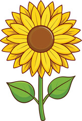 Bright Sunflower Vector Illustration design