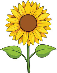 Bright Sunflower Vector Illustration design