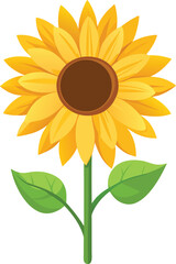 Bright Sunflower Vector Illustration design