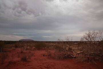 View of red desert with uluru under sunset in outback, red center of Australia