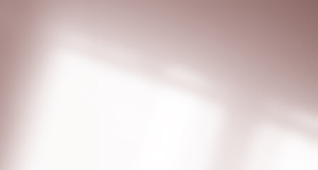 Shadow Pink Nude Color Premium Gradation Beige Background Texture blur Gradient Light Pastel Abstract Luxury Premium Mockup Peach Color Backdrop Template Valentine Summer Spring Overlay Flower Rose.