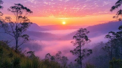 Fototapeta premium Serene sunrise over misty valleys and trees in tranquil landscape.