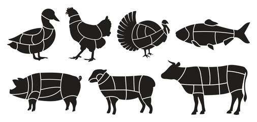 cut of animal's diagram vector template