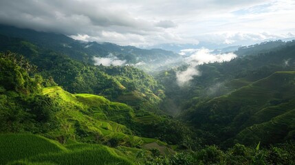 A scenic view of green rice terraces in Southeast Asia, with clouds drifting lazily overhead.