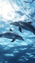 Obraz premium Two dolphins swimming gracefully in clear blue ocean waters.