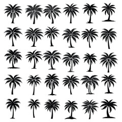 Palm Tree Silhouette Vector Set