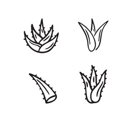 Hand drawn doodle aloe vera outline icon 
