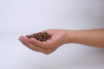 Close up, side view: A handful of coffee beans; a man's hand