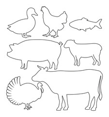 animal in farm pig goat chicken duck cow outlines