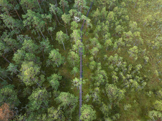 Wooden path through the forest and Seli swamp on a summer morning, photo view from a drone.