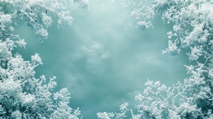 Frosty Tree Branches Framing a Cloudy Sky