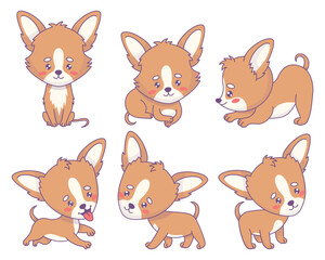 Fototapeta premium Cute cartoon Chihuahua dog collection. Isolated funny kawaii puppy animal. Vector illustration