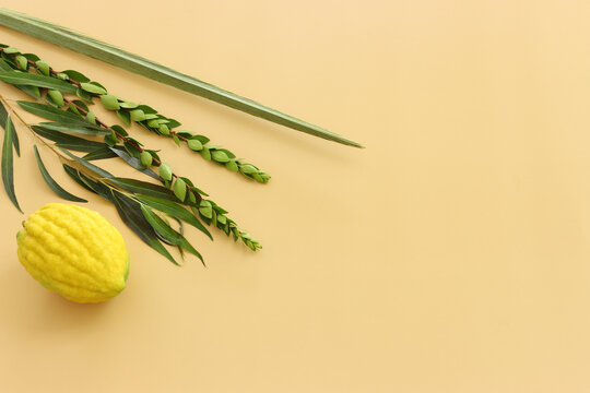 Jewish festival of Sukkot. Traditional symbols (The four species): Etrog (citron), lulav (palm branch), hadas (myrtle), arava (willow)