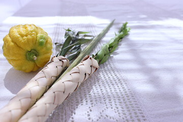 Jewish festival of Sukkot. Traditional symbols (The four species): Etrog (citron), lulav (palm branch), hadas (myrtle), arava (willow) © tomertu