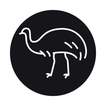 recommend clip art: Australian ostrich Emu black line illustration. Animals of Australia.