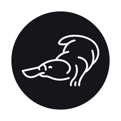 Australian platypus black line illustration. Animals of Australia.