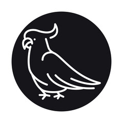 Australian parrot black line illustration. Animals of Australia.
