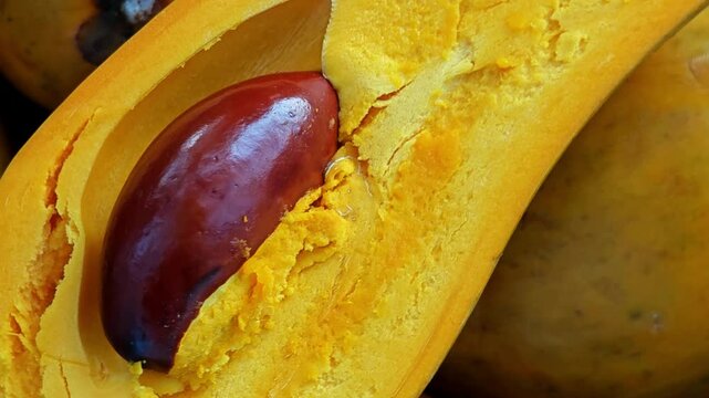 Yellow Sapote Fruit, Close up, Rotation