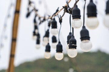 Nature Meets Technology: Hanging Lights Blending with Serene Landscape