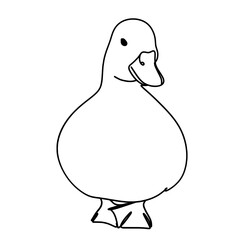 Cute duck one line art drawing 