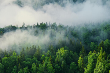 Fototapeta premium the vast power of nature