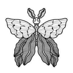 Whimsical black and white line art or doodles of butterfly with intricate zentangles and zendoodles patterns