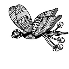 Whimsical black and white line art or doodles of dragonfly with intricate zentangles and zendoodles patterns