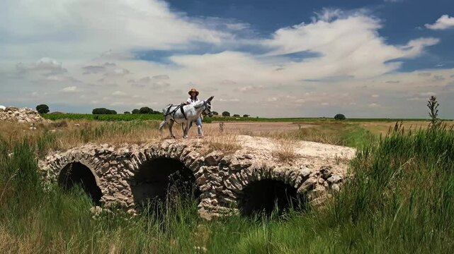 PASEO POR EL CAMPO CON BURRO