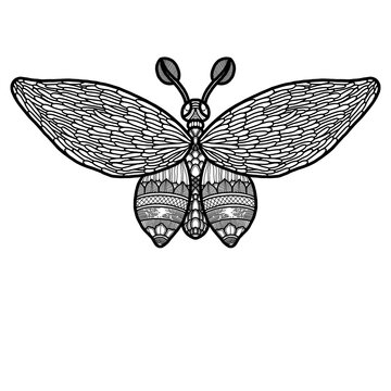recommend clip art: Whimsical black and white line art or doodles of butterfly with intricate zentangles and zendoodles patterns
