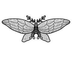 Whimsical black and white line art or doodles of butterflies with intricate zentangles and zendoodles patterns