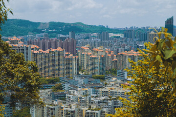Obraz premium A Taste of Shenzhen - Longgang